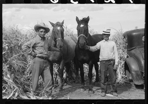 Spanish farmer with hired hand and two horses, Concho, Arizona