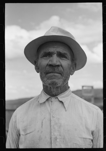 Hired hand on farm belonging to farmer of Spanish extraction, Concho, Arizona