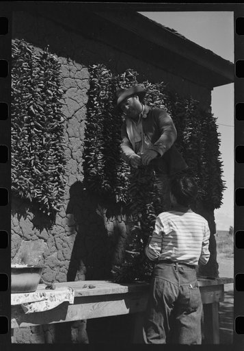 Untitled photo, possibly related to: Chili peppers drying on side of adobe house, Concho, Arizona