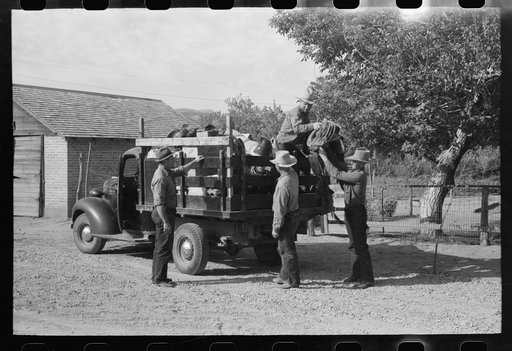 Mormon farmer loading his bedroll and saddles. A group of the farmers are going to the mountains to bring down a herd of sheep. Santa Clara, Utah