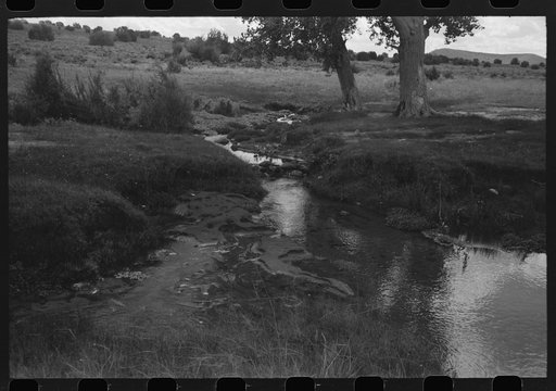 Irrigation water for Concho, Arizona, is furnished by a large spring several miles above the town