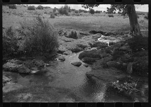 Irrigation water for Concho, Arizona, is furnished by a large spring several miles above the town