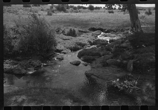 Untitled photo, possibly related to: Irrigation water for Concho, Arizona, is furnished by a large spring several miles above the town