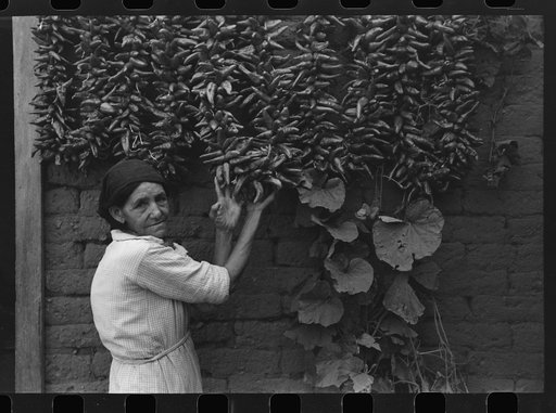 Woman with chili peppers, Concho, Arizona