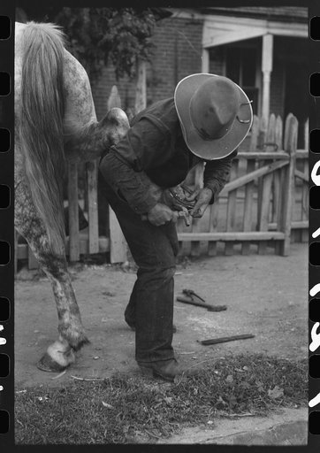Untitled photo, possibly related to: Mormon farmer shoeing a horse, Santa Clara, Utah