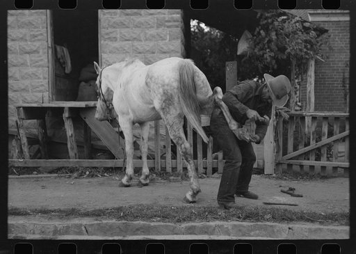 Mormon farmer shoeing a horse, Santa Clara, Utah