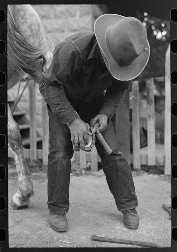Untitled photo, possibly related to: Mormon farmer shoeing a horse, Santa Clara, Utah
