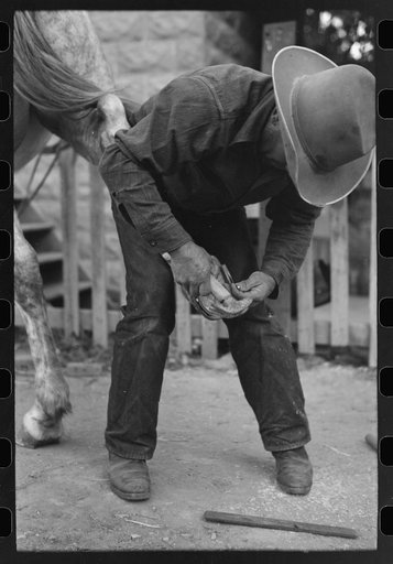 Untitled photo, possibly related to: Mormon farmer shoeing a horse, Santa Clara, Utah