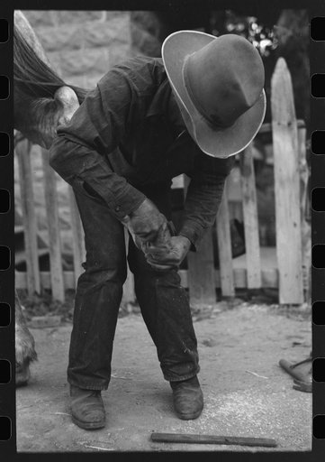 Untitled photo, possibly related to: Mormon farmer shoeing a horse, Santa Clara, Utah