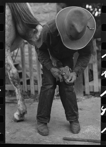 Mormon farmer shoeing a horse, Santa Clara, Utah