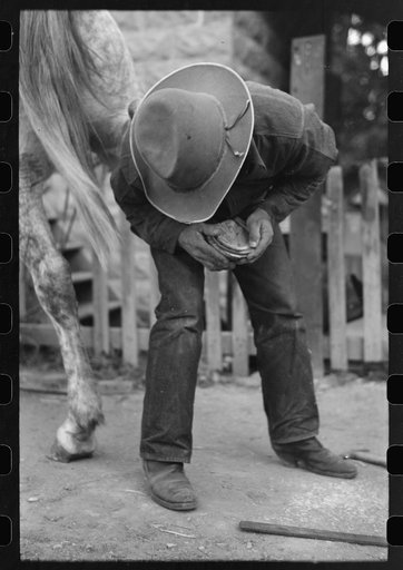 Untitled photo, possibly related to: Mormon farmer shoeing a horse, Santa Clara, Utah