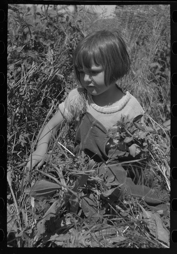 Child of farm worker who lives at the FSA (Farm Security Administration) labor camp. Caldwell, Idaho