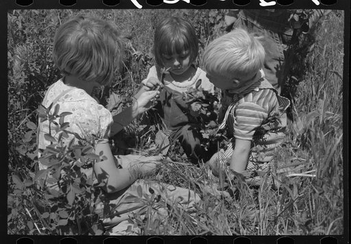 Children of farm workers living at the FSA (Farm Security Administration) labor camp. Caldwell, Idaho