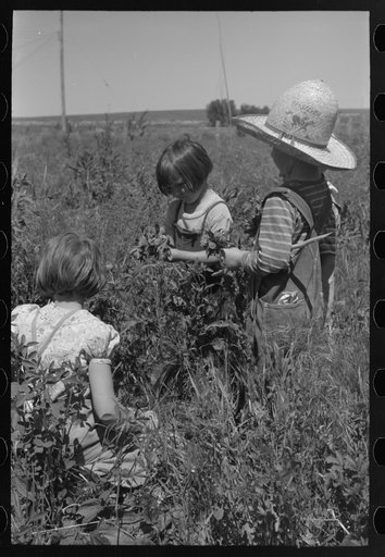 Untitled photo, possibly related to: Child of farm worker who lives at the FSA (Farm Security Administration) labor camp. Caldwell, Idaho