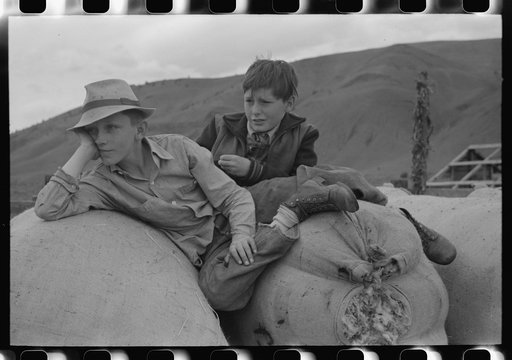 Boys on sacks of wool, Malheur County, Oregon