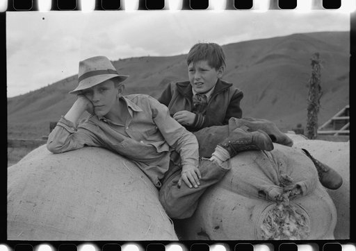 Untitled photo, possibly related to: Boys on sacks of wool, Malheur County, Oregon