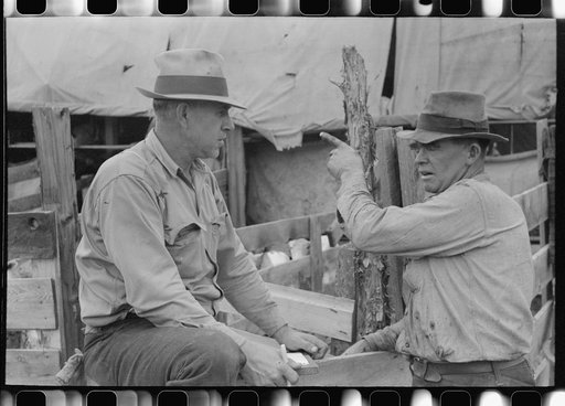 Checkers at sheep shearing outfit, Malheur County, Oregon