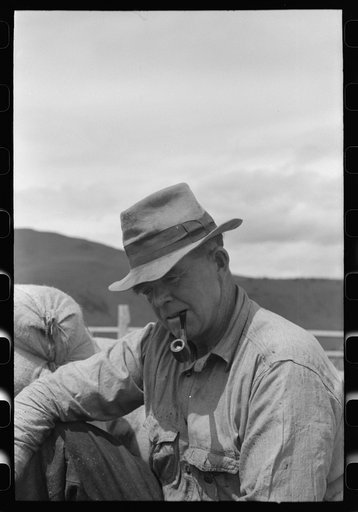 Untitled photo, possibly related to: Sheep shearers and bags of wool in the background, Malheur County, Oregon