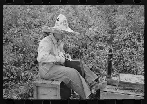 Checker at labor contractor's pea picking outfit. Nampa, Idaho