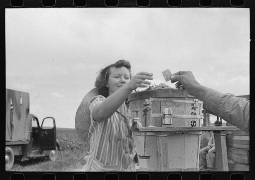 Picker getting punched check which shows how many hampers of peas who he picked. Labor contractor's pea pickers crew. Nampa, Idaho