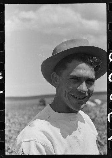 Untitled photo, possibly related to: Labor contractor's crew at work in pea fields. Truck which will carry the crates of peas in middle ground. Contractor's pea pickers camp in background. Nampa, Idaho