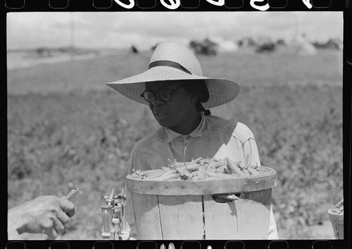 Untitled photo, possibly related to: Pea picker. Nampa, Idaho