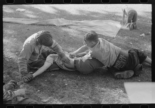 Untitled photo, possibly related to: Roughhousing, Fourth of July, Vale, Oregon
