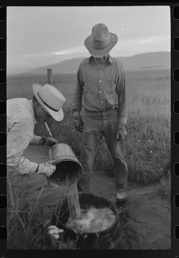 Mr. Eddie Cruzen (with cigarette holder) and ranch hand mix up blue vitriol for treating hoof rot, Cruzen Ranch, Valley County, Idaho
