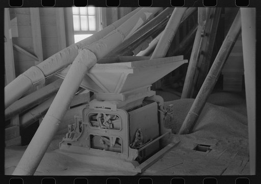 Untitled photo, possibly related to: Directing bulk wheat after combine has been through. Eureka Flats, Walla Walla County, Washington