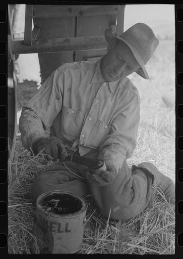 Harvest hand on combine. Walla Walla County, Washington
