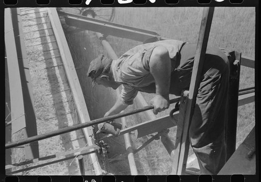 Walla Walla County, Washington. Oiling the combine in a wheat field