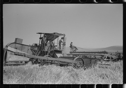 Walla Walla County, Washington. Harvesting wheat with a combine