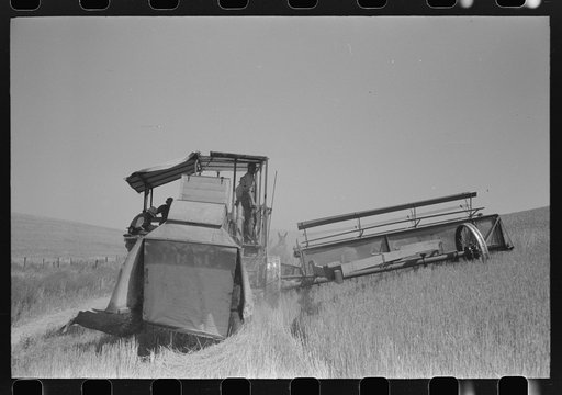 Walla Walla County, Washington. Harvesting wheat with a combine