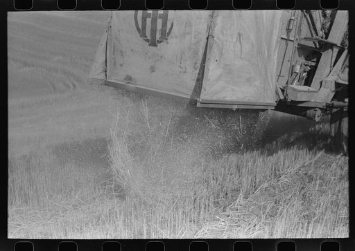 Walla Walla County, Washington. Showing how a combine works in a wheat field