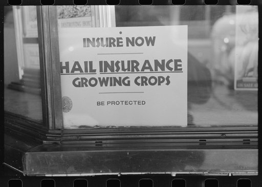 Walla Walla County, Washington. An insurance office window advertising hail insurance for growing crops