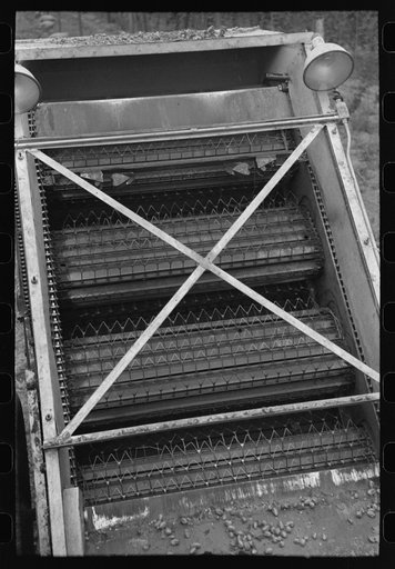 Detail of cleaning apparatus on portable-type mechanical hop picker, Yakima Chief Hop Ranch, Yakima County, Washington