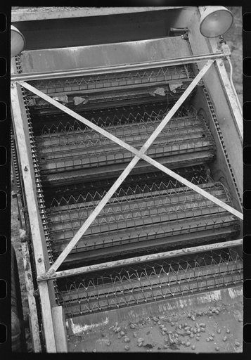 Untitled photo, possibly related to: Detail of cleaning apparatus on portable-type mechanical hop picker, Yakima Chief Hop Ranch, Yakima County, Washington