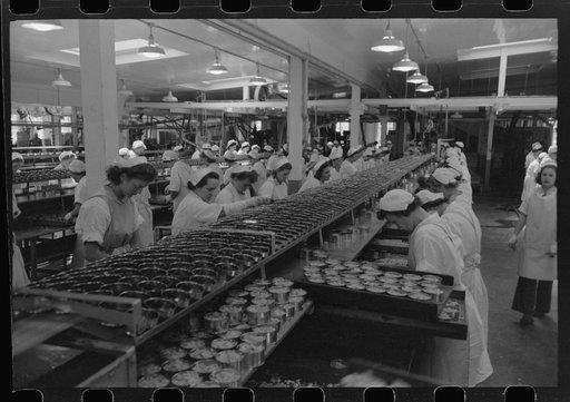 Untitled photo, possibly related to: Packing tuna into cans, Columbia River Packing Association, Astoria, Oregon