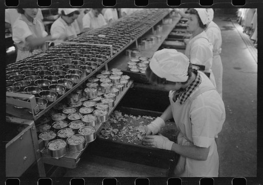 Untitled photo, possibly related to: Packing tuna into cans, Columbia River Packing Association, Astoria, Oregon