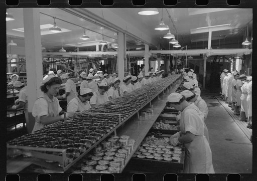 Packing tuna into cans, Columbia River Packing Association, Astoria, Oregon