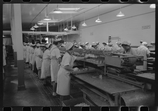 Packing tuna into cans, Columbia River Packing Association, Astoria, Oregon