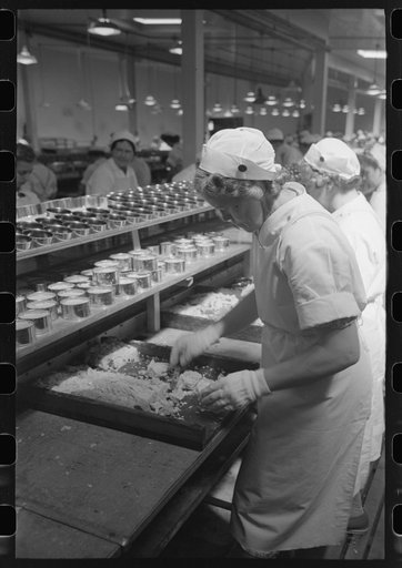 Untitled photo, possibly related to: Packing tuna into cans, Columbia River Packing Association, Astoria, Oregon