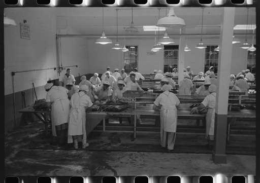 Skinning cooked tuna before packing into cans, Columbia River Packing Association, Astoria, Oregon