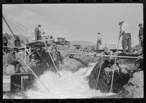 Indians fishing for salmon, Celilo Falls, Oregon