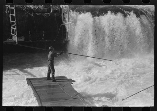 Indians fishing for salmon, Celilo Falls, Oregon