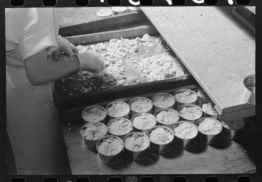 Untitled photo, possibly related to: Packing tuna into cans, Columbia River Packing Association, Astoria, Oregon