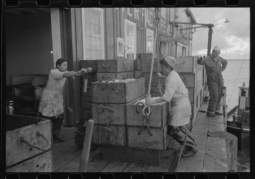 Taking boxes of salmon at the Columbia River Packing Association, Astoria, Oregon