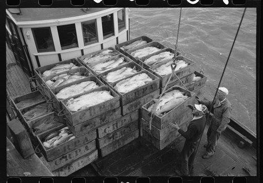 Untitled photo, possibly related to: Unloading boxes of salmon from fishing boat at docks of Columbia River Packing Association, Astoria, Oregon