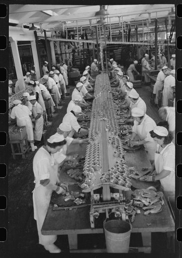 Untitled photo, possibly related to: Sliced salmon ready for canning, Columbia River Packing Association, Astoria, Oregon