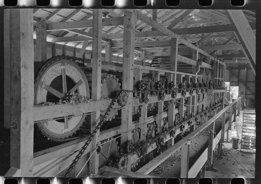 Untitled photo, possibly related to: Machinery of stationary-type mechanical hop picker, Yakima County, Washington